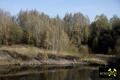 Restloch Tagebau Nord I, Revier Callenberg, Granulitgebirge, Sachsen, (D) (11) 31. Oktober 2013.JPG